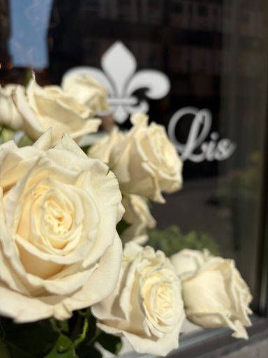 Rosor av hög kvalitet Snittblommor